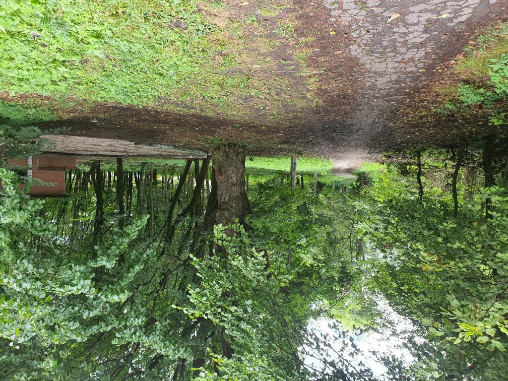 Территория после ремонта - фото 3