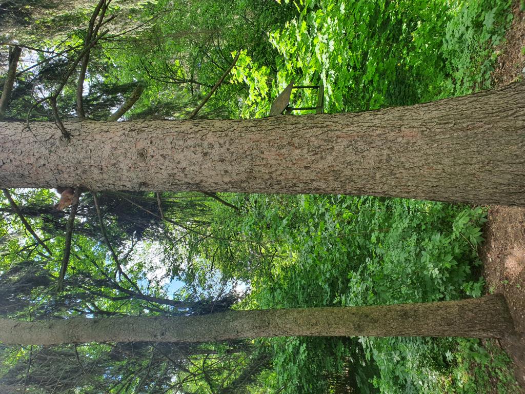 Территория после ремонта - фото 5