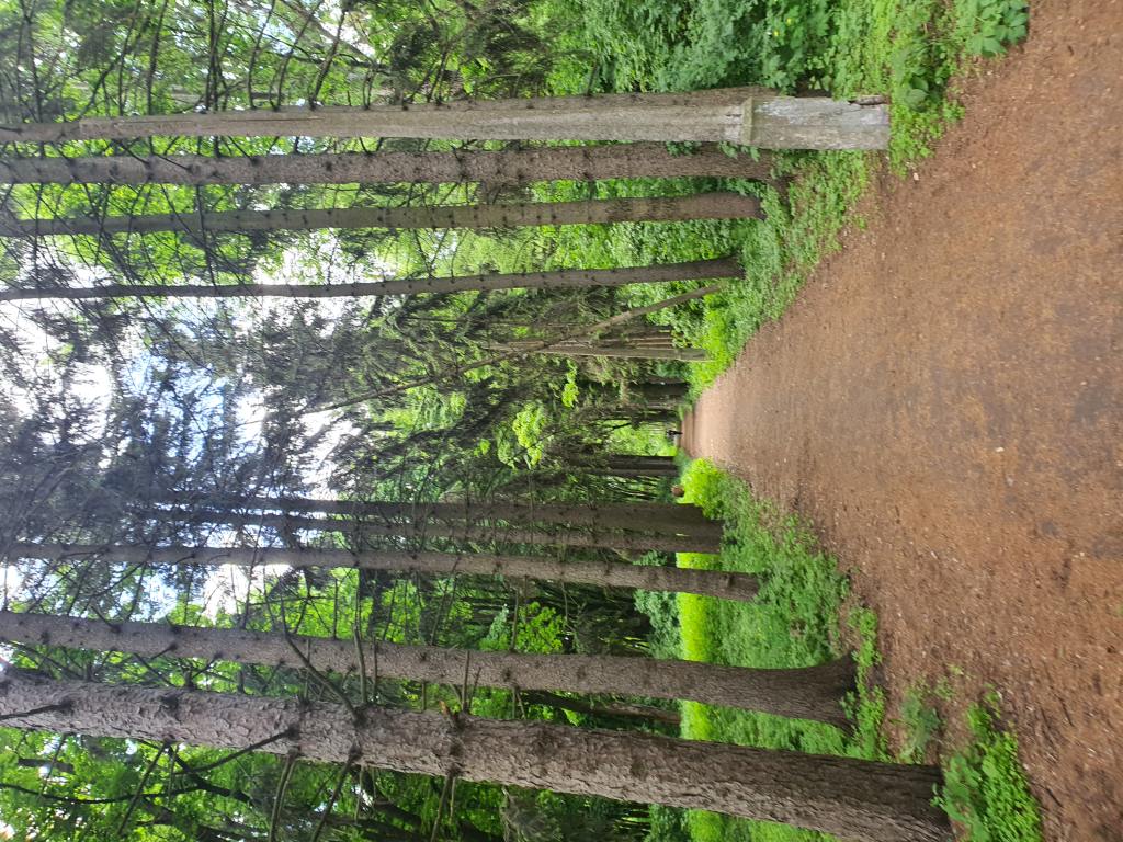 Территория после ремонта - фото 6