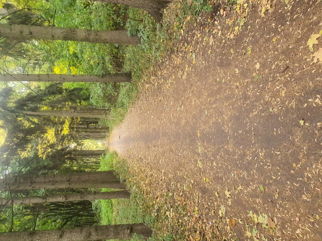 Территория после ремонта - фото 14