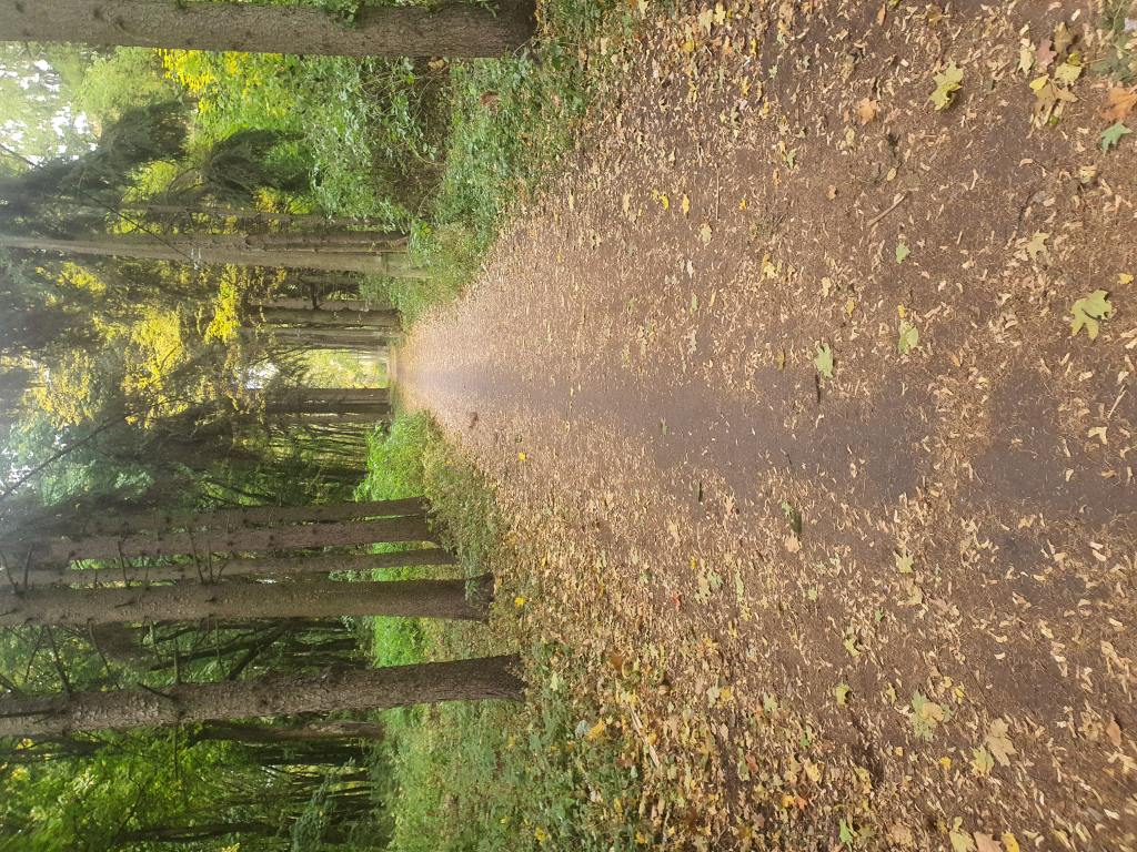 Территория после ремонта - фото 15