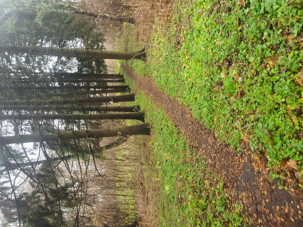 Территория после ремонта - фото 20